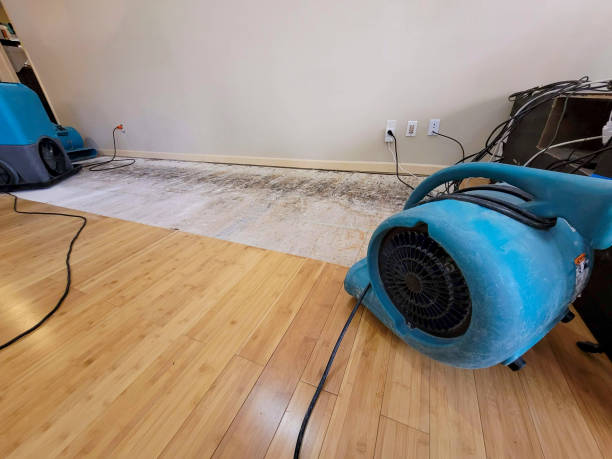 Reliable Basement Flood Cleanup contractor in Roanoke, VA by Hirex Water Damage