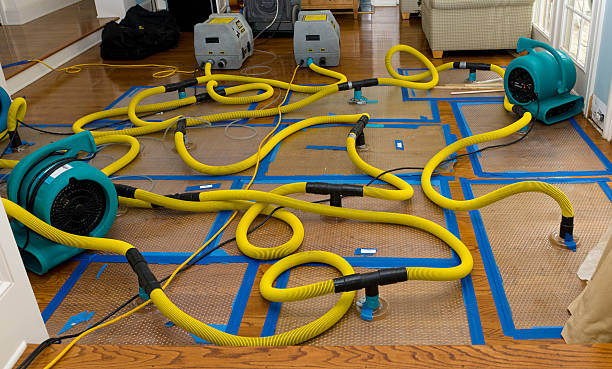 Professional Basement Flood Cleanup technician working in Roanoke, VA